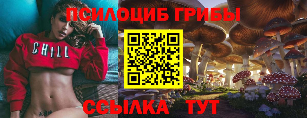 Волжск  Псилоцибиновые грибы Cubensis  Вход с VPN 
