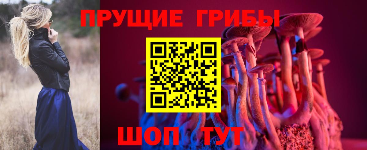 Псилоцибиновые грибы Psilocybe Волжск